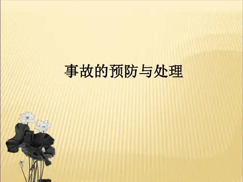 导游业务演示