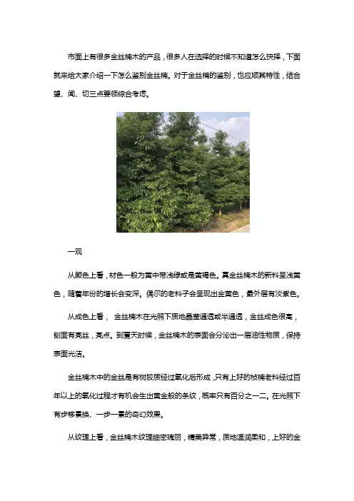 金丝楠怎么鉴别