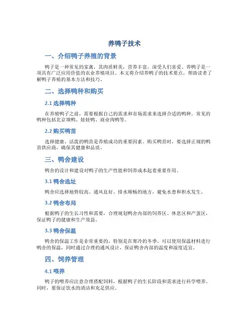 养鸭子技术