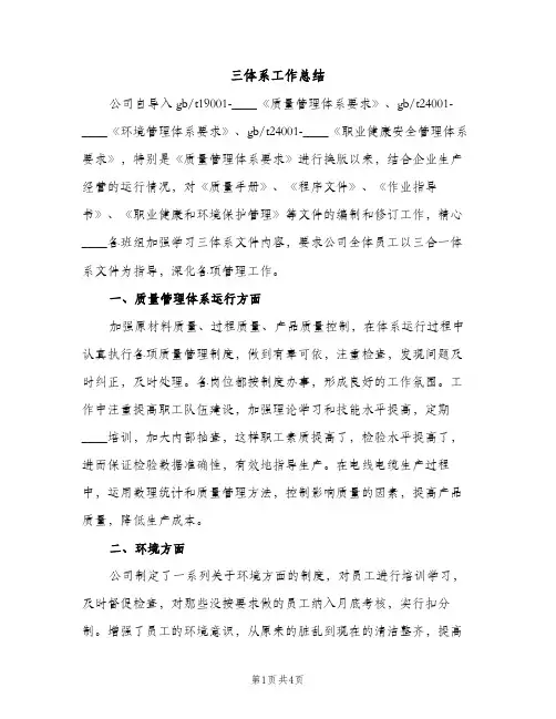 三体系工作总结（2篇）