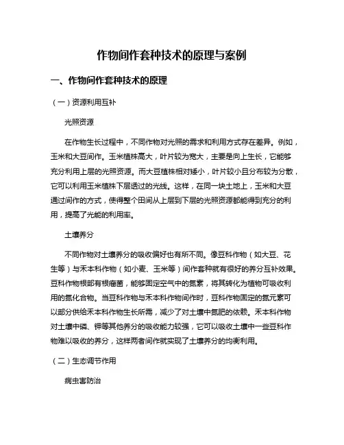 作物间作套种技术的原理与案例