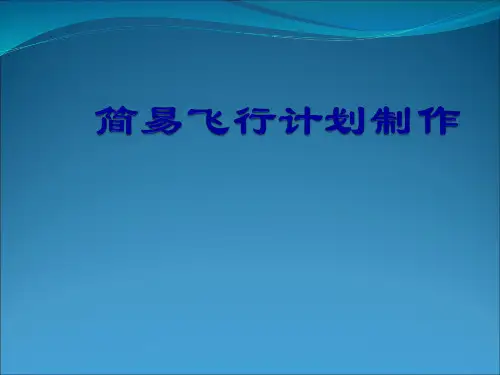 简易飞行计划制作