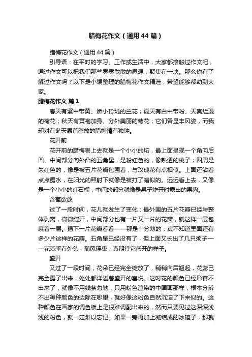 腊梅花作文（通用44篇）