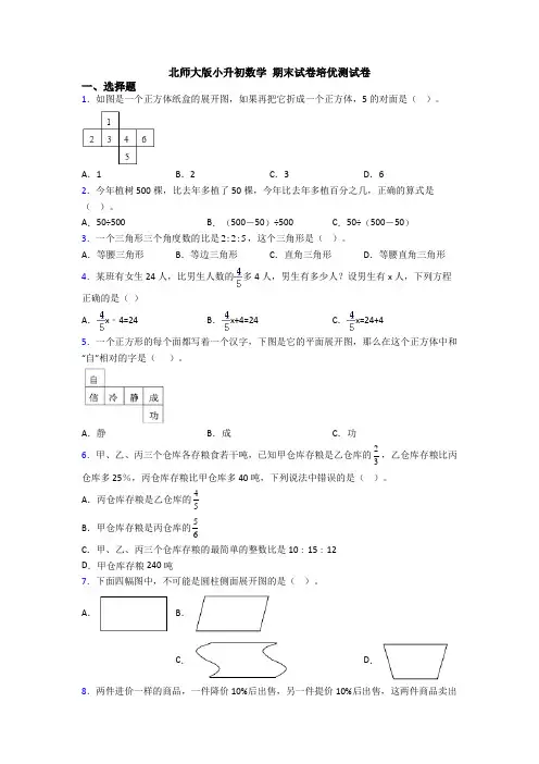 北师大版小升初数学 期末试卷培优测试卷