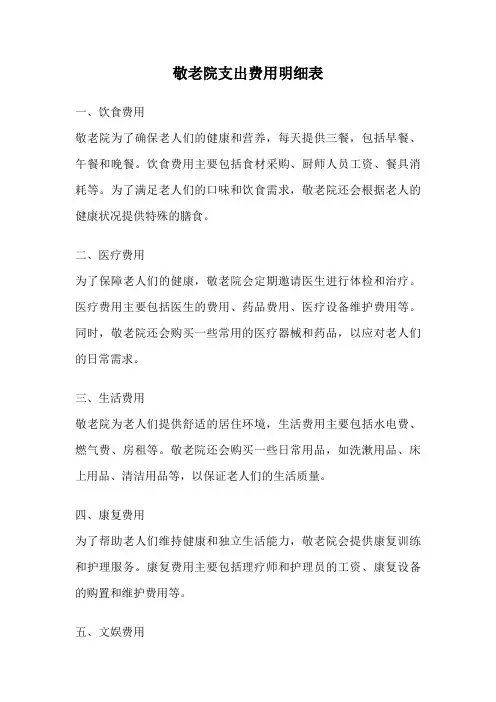 敬老院支出费用明细表