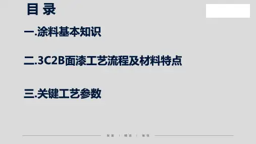 中面涂3C2B工艺材料基础知识培训