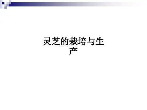 灵芝的栽培与生产ppt课件