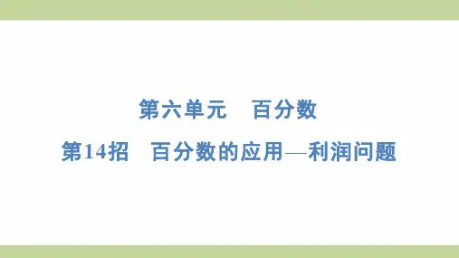 苏教版六年级上册数学 第14招 百分数的应用——利润问题 知识点梳理重点题型练习课件