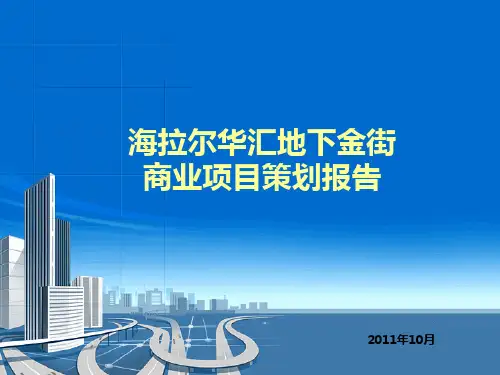 2011年海拉尔华汇地下金街商业项目策划报告(114页)