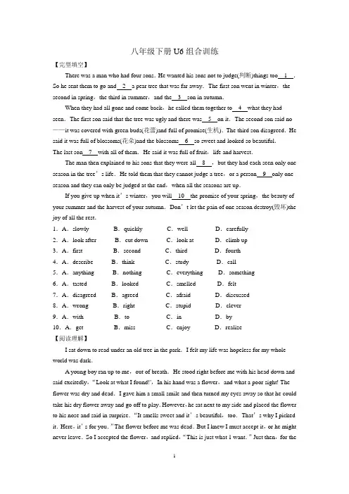 牛津译林版八年级英语下册8B U6组合训练(含答案)