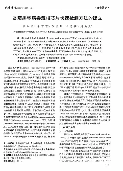 番茄黑环病毒液相芯片快速检测方法的建立