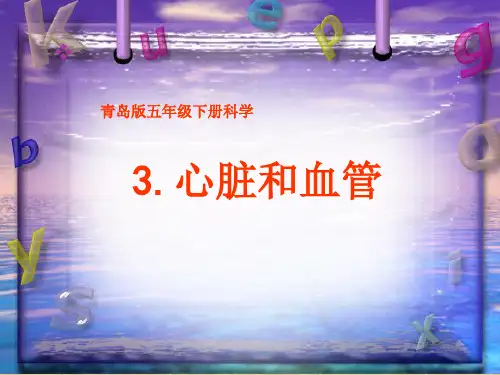 《心脏和血管》PPT课件 (2)