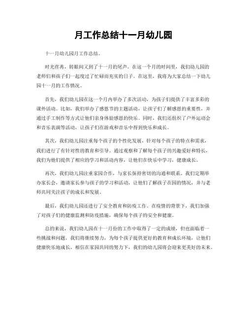 月工作总结十一月幼儿园