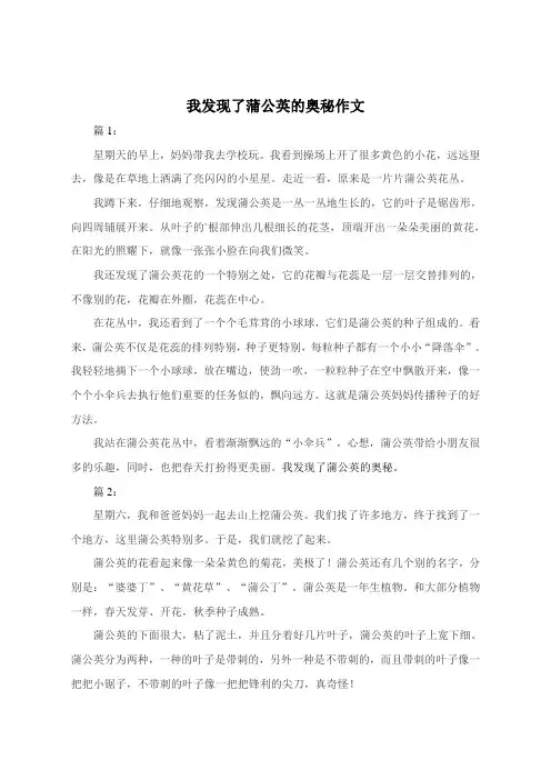 我发现了蒲公英的奥秘作文300字