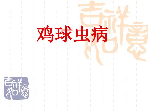 兽医课件：鸡球虫病