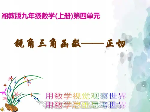 湘教版-数学-九年级上册 4.2正切 配套课件