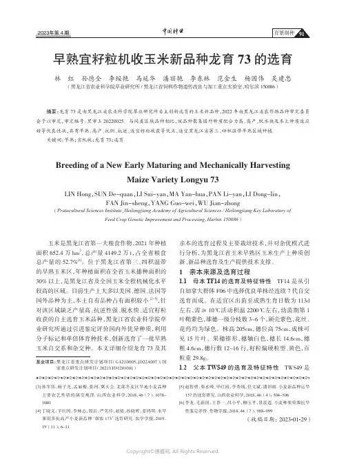 211170893_早熟宜籽粒机收玉米新品种龙育73的选育