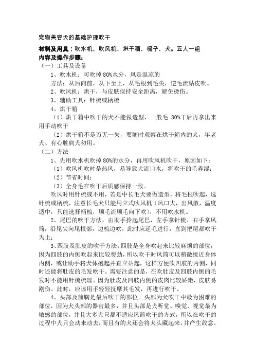 宠物美容犬的基础护理吹干