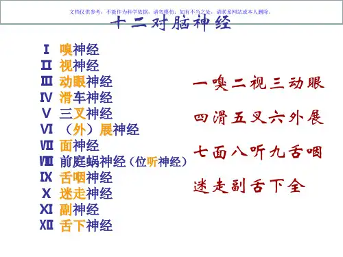 脑神经传导通路课件