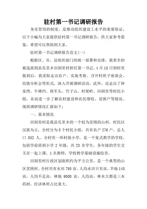 驻村第一书记调研报告