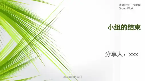 社工小组最后一节流程