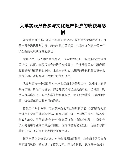 大学实践报告参与文化遗产保护的收获与感悟