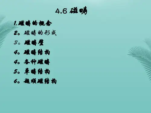 磁畴的概念磁畴的形成磁畴壁磁畴结构各种磁畴-推荐精选PPT