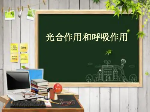 光合作用和呼吸作用ppt课件
