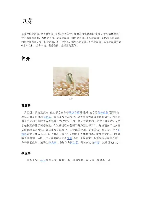 豆芽