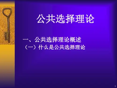 公共选择理论x