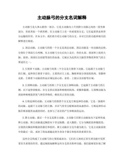 主动脉弓的分支名词解释