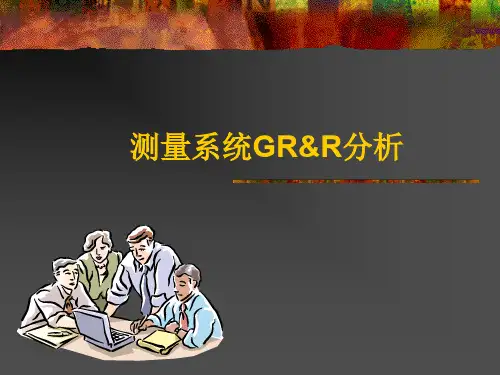 测量系统GR