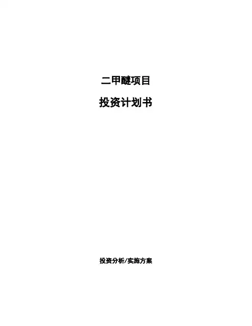 二甲醚项目投资计划书