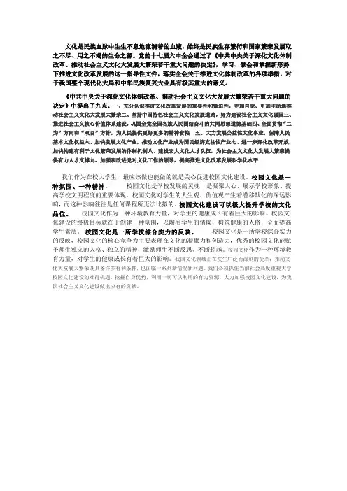文化是民族血脉中生生不息地流淌着的血液