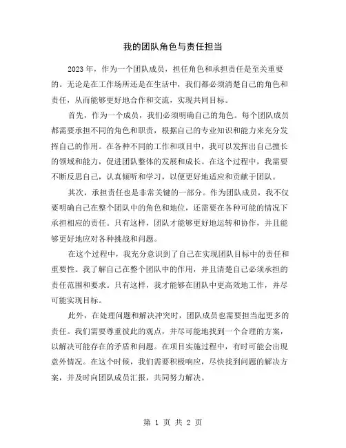 我的团队角色与责任担当