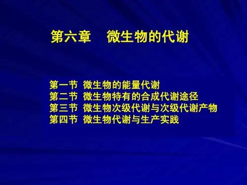 微生物学 第六章 微生物的代谢