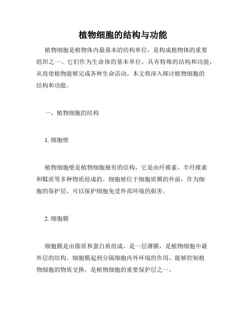 植物细胞的结构与功能