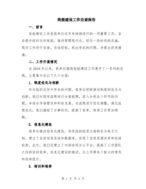 效能建设工作自查报告