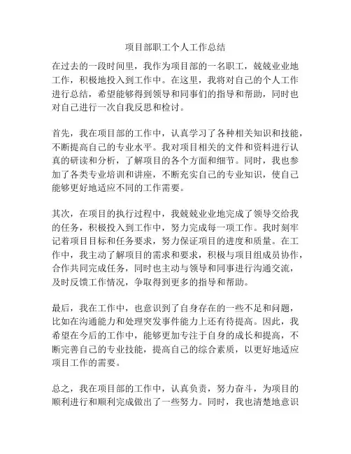 项目部职工个人工作总结