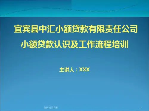 小额贷款培训PPT课件