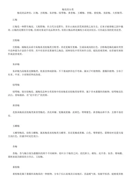 梅花的分类