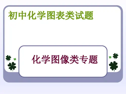 初中化学图像题专题复习ppt课件