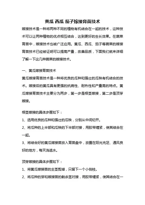 黄瓜 西瓜 茄子嫁接育苗技术