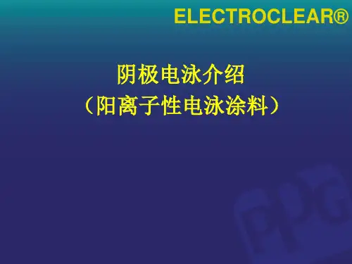 电泳介绍