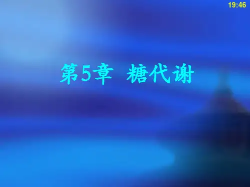 第5章-糖代谢