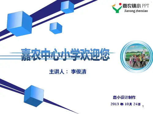 嘉农小学顶层设计方案10(课堂PPT)