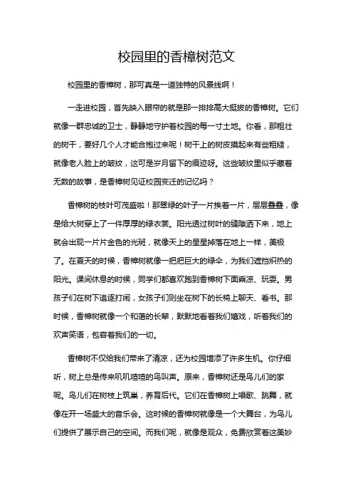 校园里的香樟树范文