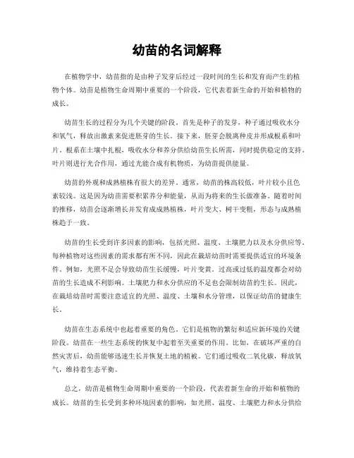 幼苗的名词解释