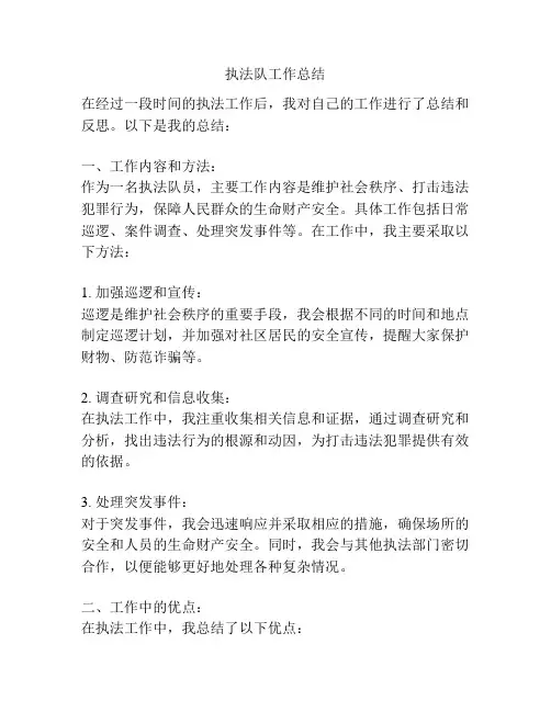 执法队工作总结