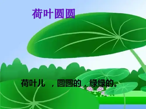 部编版一年级下册语文《荷叶圆圆》PPT课件